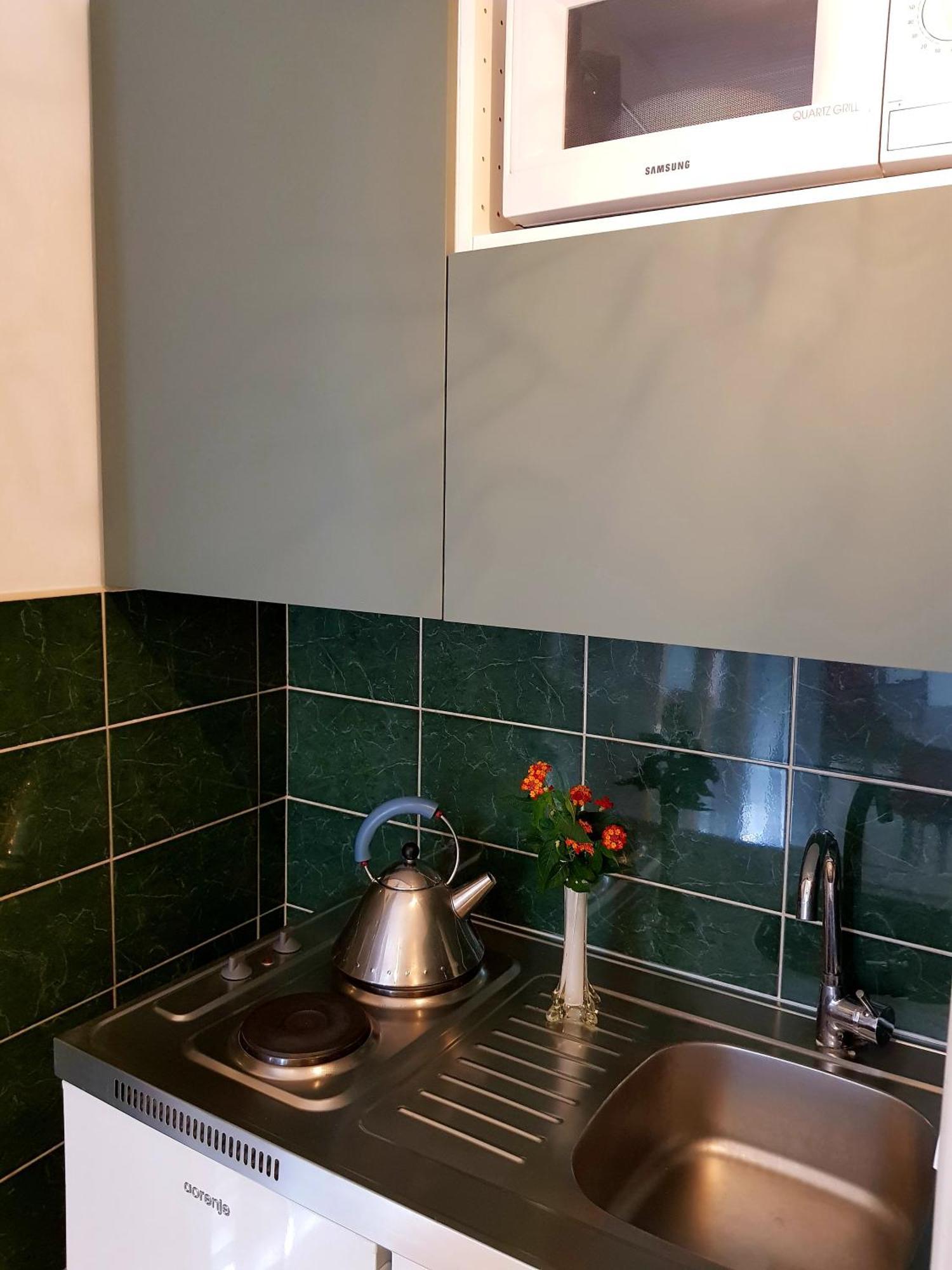 Vesna Apartment *